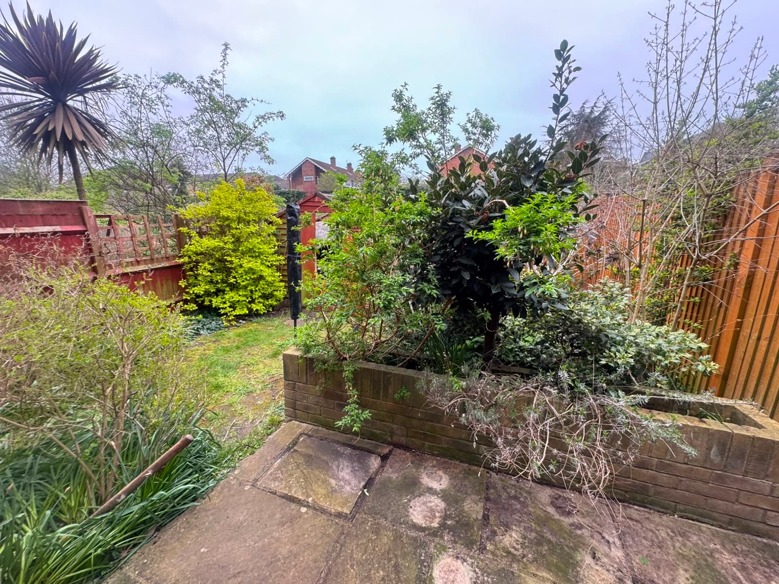 The garden before the makeover