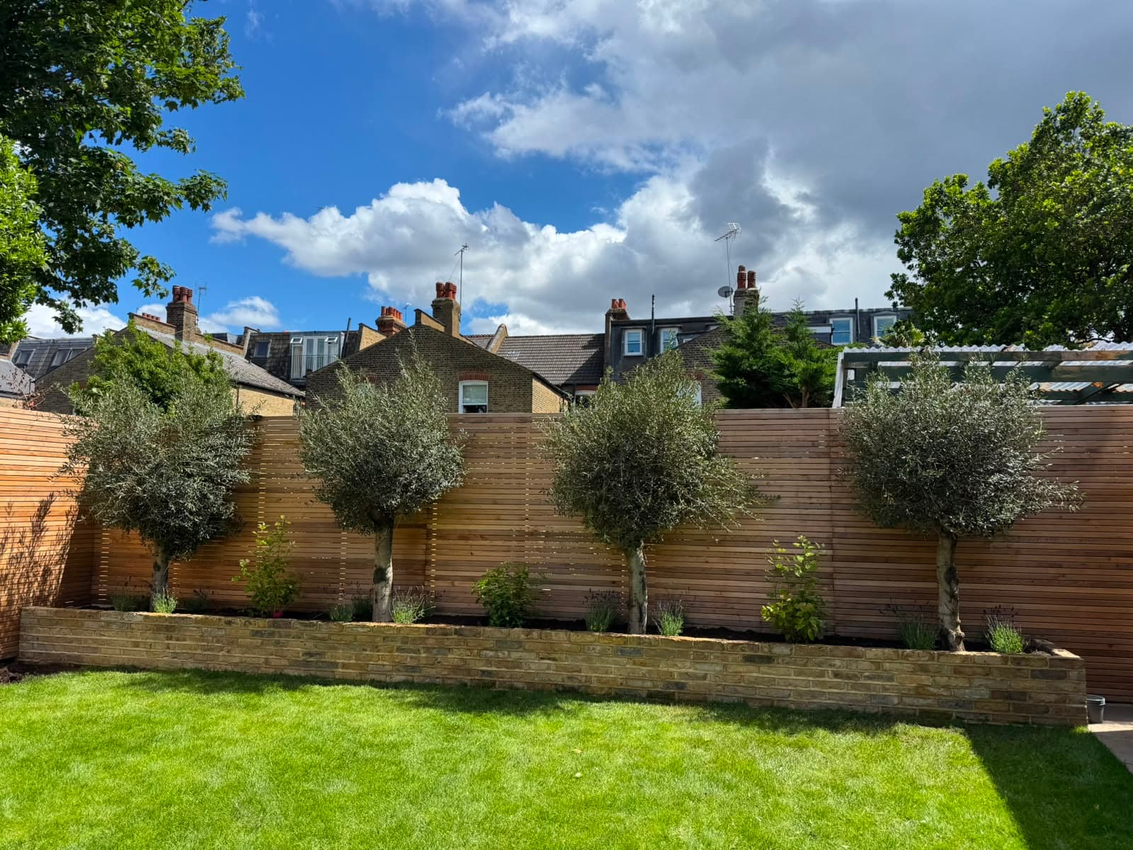 The finished garden with new lawn and planting