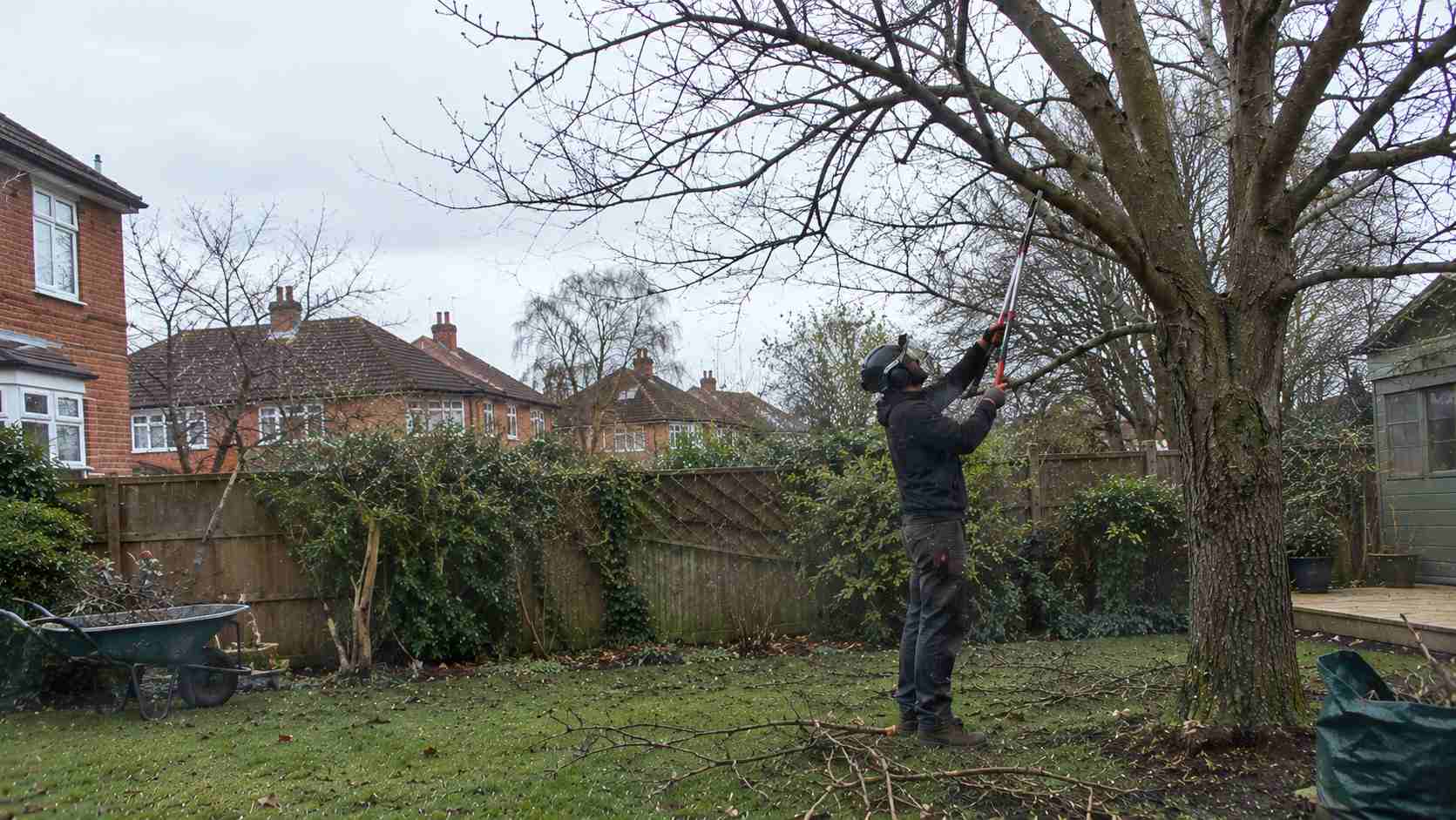 Professional arborist pruning branches from a mature tree in a London residential garden during winter