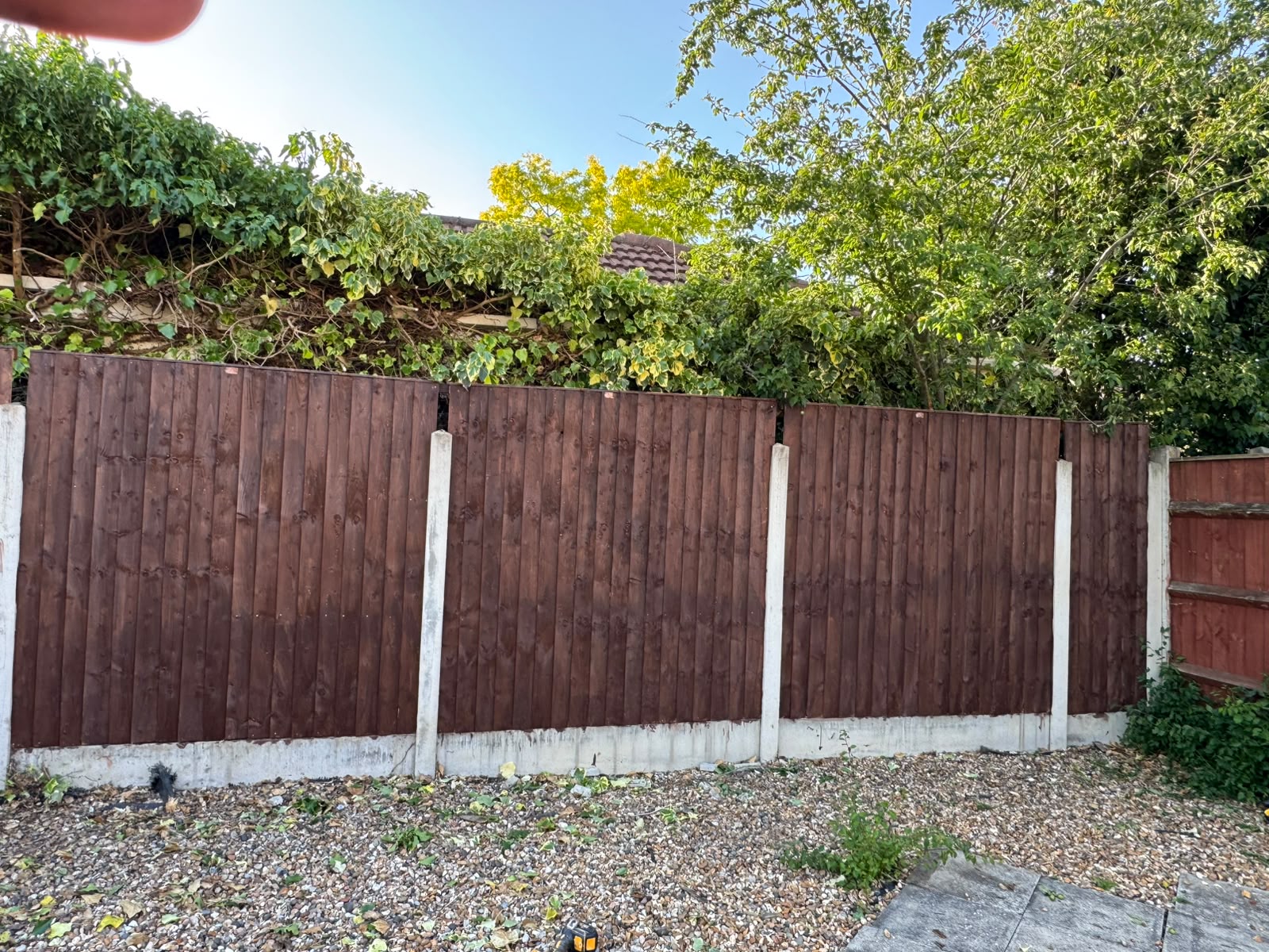 New timber fencing providing privacy along a garden boundary