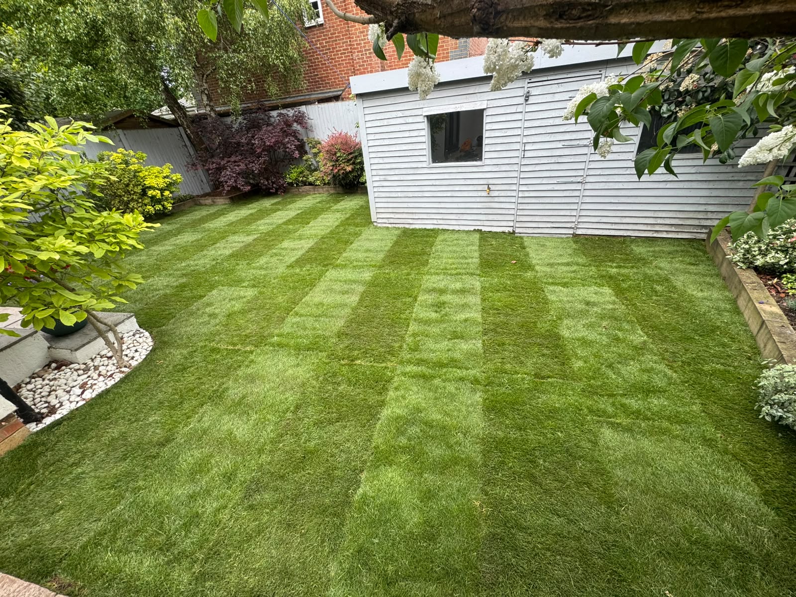 A freshly turfed lawn with healthy green grass and a neat edge